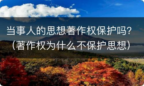 当事人的思想著作权保护吗？（著作权为什么不保护思想）