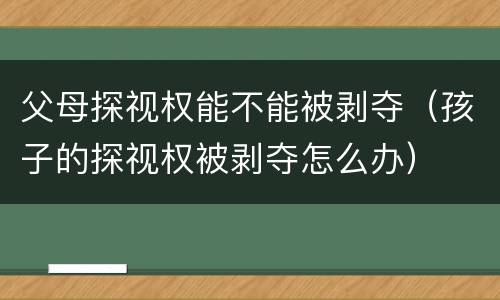 父母探视权能不能被剥夺（孩子的探视权被剥夺怎么办）