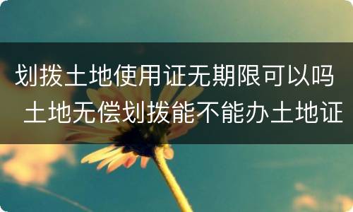 划拨土地使用证无期限可以吗 土地无偿划拨能不能办土地证