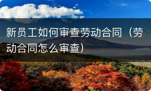 新员工如何审查劳动合同（劳动合同怎么审查）