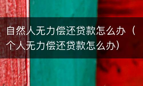 自然人无力偿还贷款怎么办（个人无力偿还贷款怎么办）