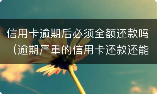 信用卡逾期后必须全额还款吗（逾期严重的信用卡还款还能用吗）