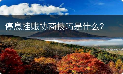 停息挂账协商技巧是什么？