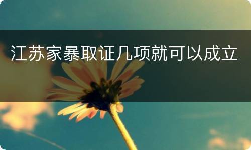 江苏家暴取证几项就可以成立