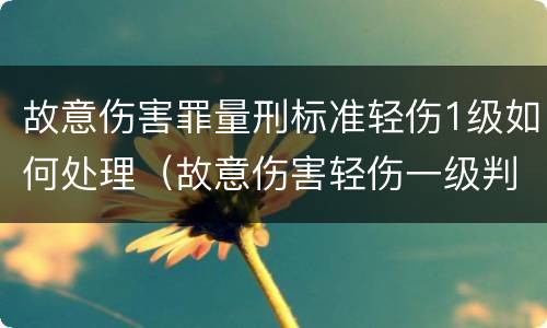 故意伤害罪量刑标准轻伤1级如何处理（故意伤害轻伤一级判几年）