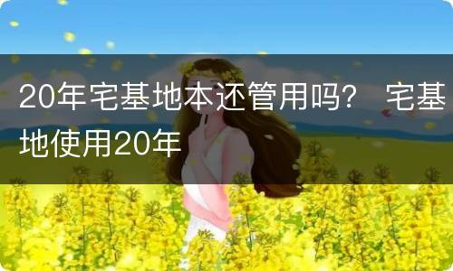 20年宅基地本还管用吗？ 宅基地使用20年