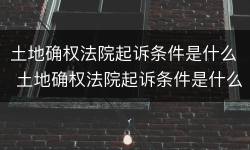 土地确权法院起诉条件是什么 土地确权法院起诉条件是什么呢