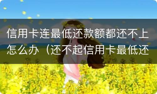 信用卡连最低还款额都还不上怎么办（还不起信用卡最低还款怎么办）