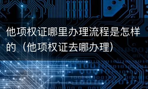 他项权证哪里办理流程是怎样的（他项权证去哪办理）