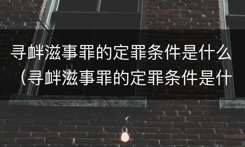 寻衅滋事罪的定罪条件是什么（寻衅滋事罪的定罪条件是什么）