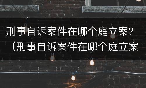 刑事自诉案件在哪个庭立案？（刑事自诉案件在哪个庭立案审理）