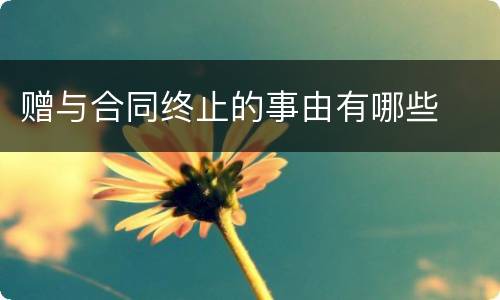 赠与合同终止的事由有哪些
