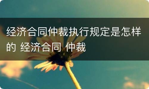 经济合同仲裁执行规定是怎样的 经济合同 仲裁
