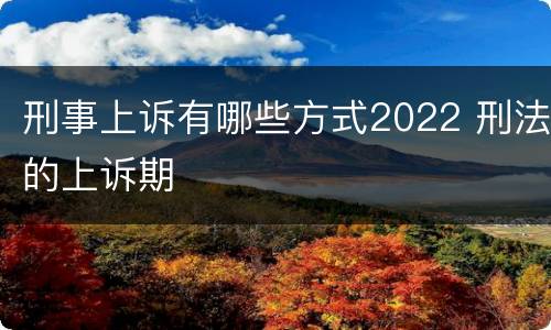 刑事上诉有哪些方式2022 刑法的上诉期