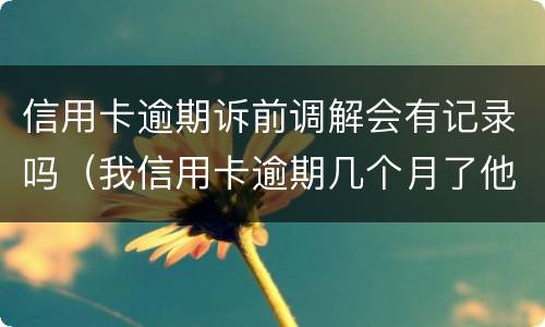 信用卡逾期诉前调解会有记录吗（我信用卡逾期几个月了他们说要告我上法院）