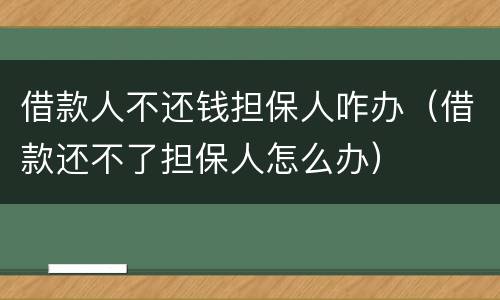 借款人不还钱担保人咋办（借款还不了担保人怎么办）