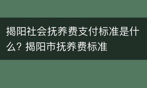 揭阳社会抚养费支付标准是什么? 揭阳市抚养费标准
