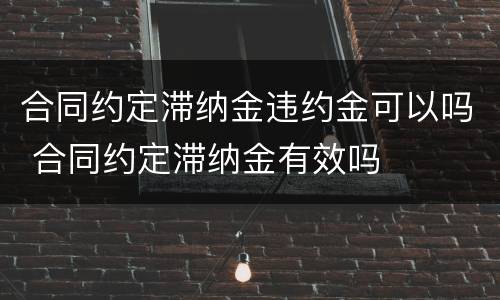 合同约定滞纳金违约金可以吗 合同约定滞纳金有效吗