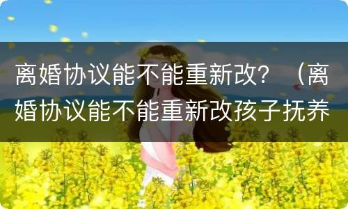 离婚协议能不能重新改？（离婚协议能不能重新改孩子抚养的问题）