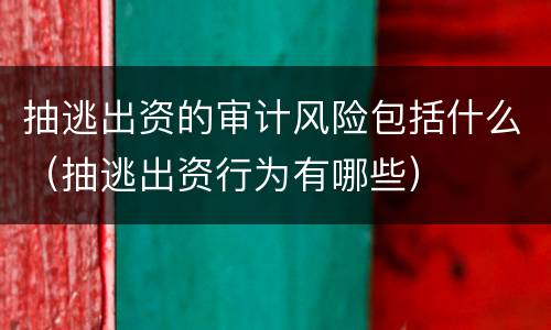 抽逃出资的审计风险包括什么（抽逃出资行为有哪些）