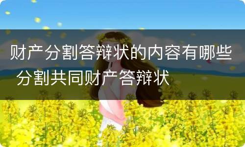 财产分割答辩状的内容有哪些 分割共同财产答辩状