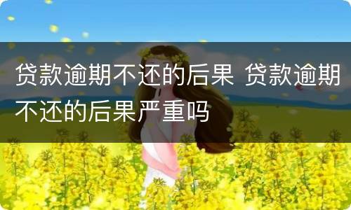 贷款逾期不还的后果 贷款逾期不还的后果严重吗