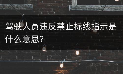 驾驶人员违反禁止标线指示是什么意思？
