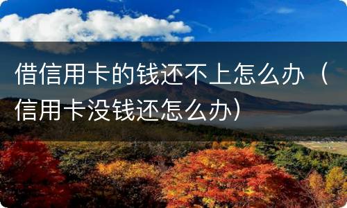 借信用卡的钱还不上怎么办（信用卡没钱还怎么办）