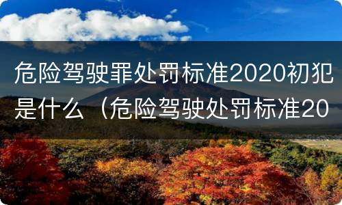 危险驾驶罪处罚标准2020初犯是什么（危险驾驶处罚标准2019初犯）