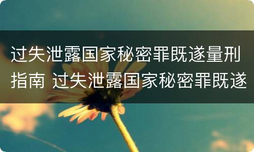 过失泄露国家秘密罪既遂量刑指南 过失泄露国家秘密罪既遂量刑指南第几条
