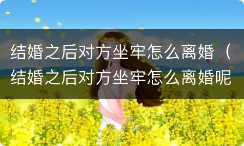 结婚之后对方坐牢怎么离婚（结婚之后对方坐牢怎么离婚呢）