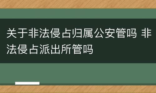 关于非法侵占归属公安管吗 非法侵占派出所管吗