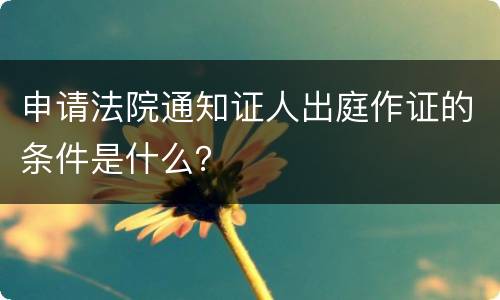 申请法院通知证人出庭作证的条件是什么？