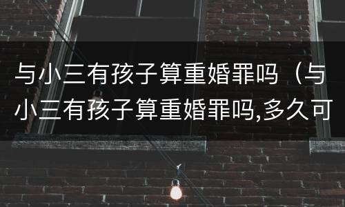 与小三有孩子算重婚罪吗（与小三有孩子算重婚罪吗,多久可追究重婚罪）