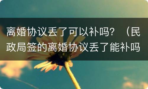 离婚协议丢了可以补吗？（民政局签的离婚协议丢了能补吗）