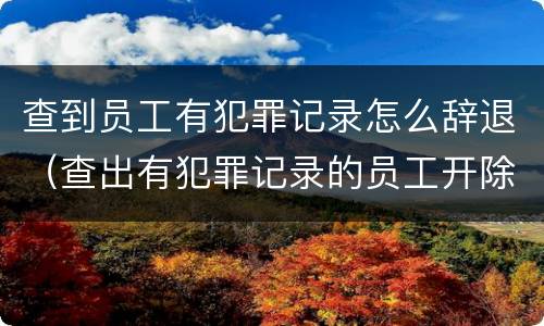 查到员工有犯罪记录怎么辞退（查出有犯罪记录的员工开除）