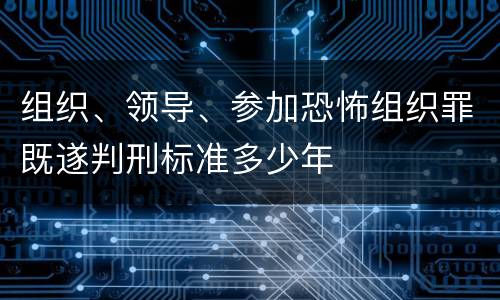 组织、领导、参加恐怖组织罪既遂判刑标准多少年