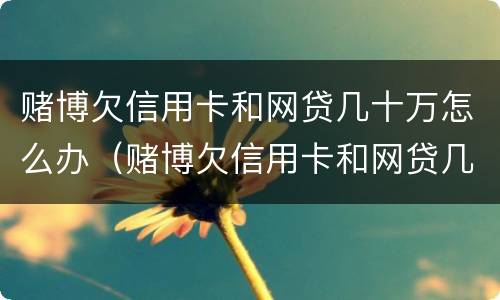 赌博欠信用卡和网贷几十万怎么办（赌博欠信用卡和网贷几十万怎么办呢）