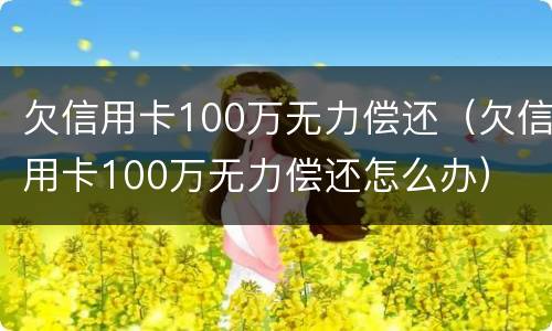 欠信用卡100万无力偿还（欠信用卡100万无力偿还怎么办）