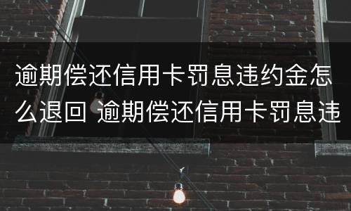 逾期偿还信用卡罚息违约金怎么退回 逾期偿还信用卡罚息违约金怎么退回来