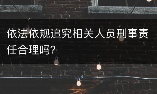 依法依规追究相关人员刑事责任合理吗？