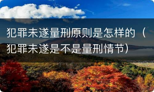 犯罪未遂量刑原则是怎样的（犯罪未遂是不是量刑情节）