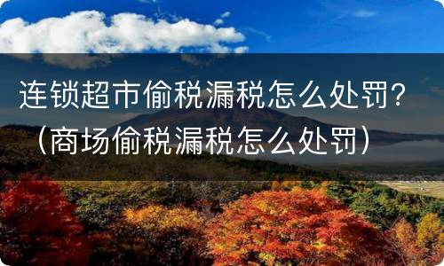 连锁超市偷税漏税怎么处罚？（商场偷税漏税怎么处罚）