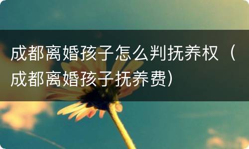 成都离婚孩子怎么判抚养权（成都离婚孩子抚养费）