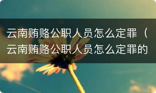 云南贿赂公职人员怎么定罪（云南贿赂公职人员怎么定罪的）