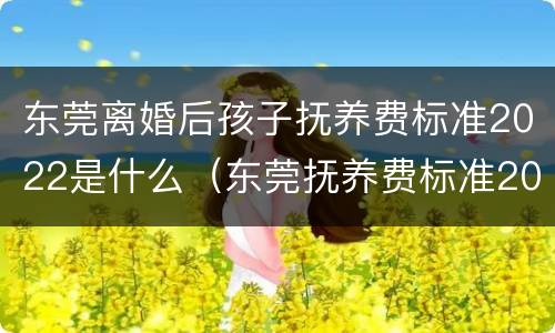 东莞离婚后孩子抚养费标准2022是什么（东莞抚养费标准2019）