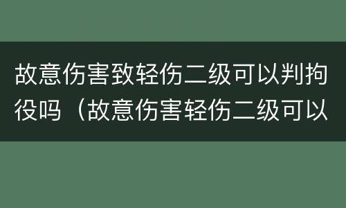 故意伤害致轻伤二级可以判拘役吗（故意伤害轻伤二级可以判缓刑吗）