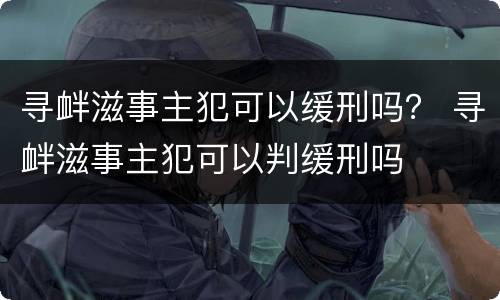 寻衅滋事主犯可以缓刑吗？ 寻衅滋事主犯可以判缓刑吗