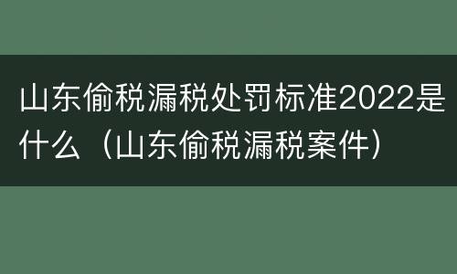 山东偷税漏税处罚标准2022是什么（山东偷税漏税案件）