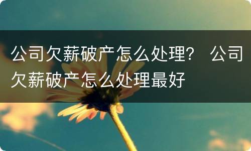 公司欠薪破产怎么处理？ 公司欠薪破产怎么处理最好